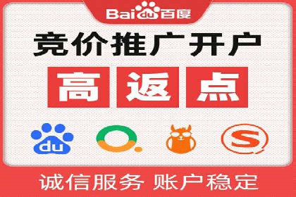 案例研究：百度竞价广告投放效果